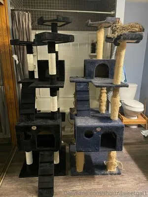 Shortnsweetgal1 OnlyFans Leaked Free Thumbnail Picture - #8sTZcHV5QT