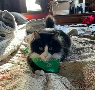 Shortnsweetgal1 OnlyFans Leaked Free Thumbnail Picture - #EidmifUeId