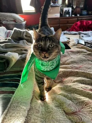 Shortnsweetgal1 OnlyFans Leaked Free Thumbnail Picture - #H1B5RIcOjB