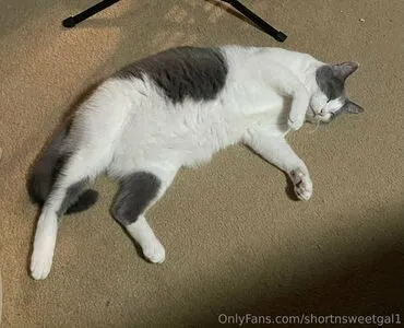 Shortnsweetgal1 OnlyFans Leaked Free Thumbnail Picture - #LDm7lJeNxQ