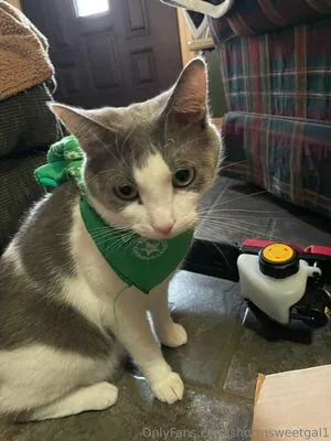 Shortnsweetgal1 OnlyFans Leaked Free Thumbnail Picture - #fIZRLKszYl