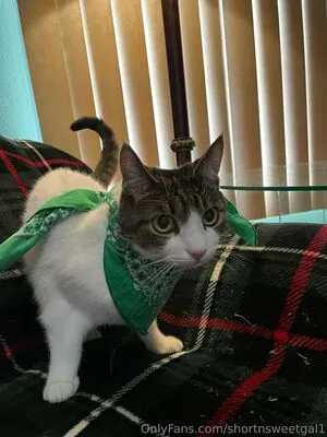 Shortnsweetgal1 OnlyFans Leaked Free Thumbnail Picture - #oaaNxAlawb