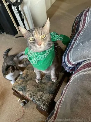 Shortnsweetgal1 OnlyFans Leaked Free Thumbnail Picture - #qRJalKQsRv