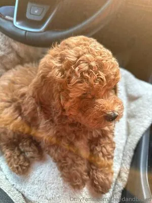 Shredandbread OnlyFans Leaked Free Thumbnail Picture - #CUXz1L9S5l