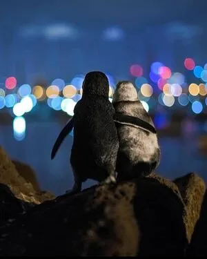 Shruti Yogi OnlyFans Leaked Free Thumbnail Picture - #skjV50NTRN