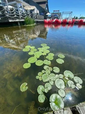 Shxnannx OnlyFans Leaked Free Thumbnail Picture - #x38kImXGCj