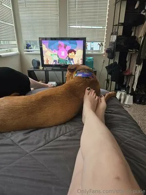 Shy Lil Pixie OnlyFans Leaked Free Thumbnail Picture - #VfTwXoqn5K