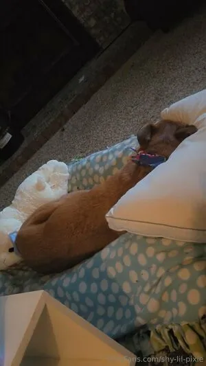 Shy Lil Pixie OnlyFans Leaked Free Thumbnail Picture - #y1FZkT0ps6