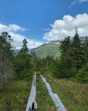 Sierra Kanouse OnlyFans Leaked Free Thumbnail Picture - #0kSinKN04J