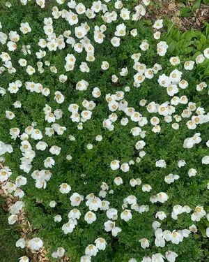 Sierra Kanouse OnlyFans Leaked Free Thumbnail Picture - #3G0YZLmTcr