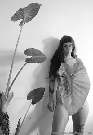 Siestitaymimos OnlyFans Leaked Free Thumbnail Picture - #OUwsBsd1Jf