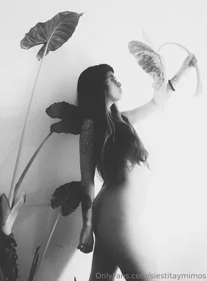 Siestitaymimos OnlyFans Leaked Free Thumbnail Picture - #rrpJOpJ6Zs