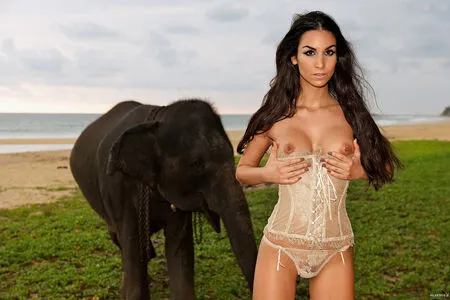 Sila Sahin Radlinger OnlyFans Leaked Free Thumbnail Picture - #6Z84uxJWR8