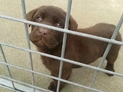 Siswet19 OnlyFans Leaked Free Thumbnail Picture - #7pVHYAHFkT