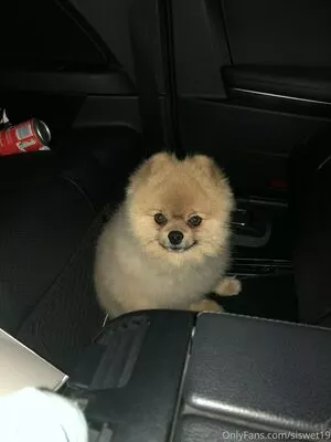 Siswet19 OnlyFans Leaked Free Thumbnail Picture - #Fmpt0VAe86