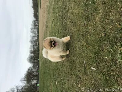 Siswet19 OnlyFans Leaked Free Thumbnail Picture - #Ha41ZUl8oK