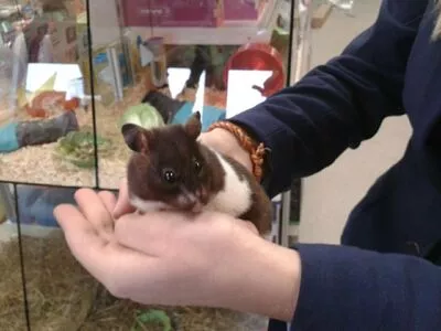 Siswet19 OnlyFans Leaked Free Thumbnail Picture - #IyvqTXlnqf