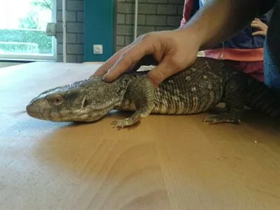 Siswet19 OnlyFans Leaked Free Thumbnail Picture - #K6dR69VoHR