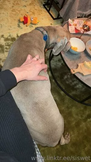 Siswet19 OnlyFans Leaked Free Thumbnail Picture - #KM4ZmvuufJ