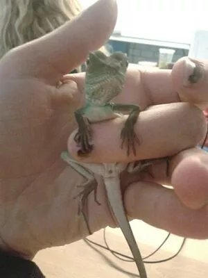 Siswet19 OnlyFans Leaked Free Thumbnail Picture - #Q51heXHbD8