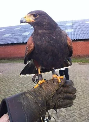 Siswet19 OnlyFans Leaked Free Thumbnail Picture - #WQT3fRq6VB