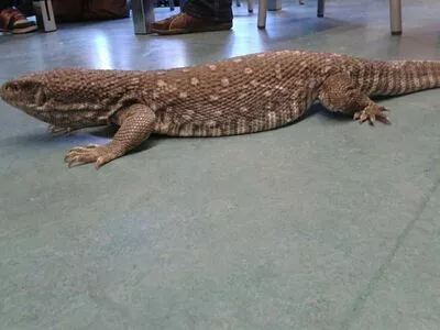 Siswet19 OnlyFans Leaked Free Thumbnail Picture - #Wz4pbNqqqX