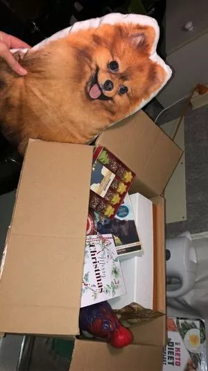 Siswet19 OnlyFans Leaked Free Thumbnail Picture - #b2bZAsDQof