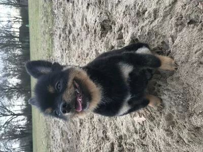 Siswet19 OnlyFans Leaked Free Thumbnail Picture - #uS6sdVwmix