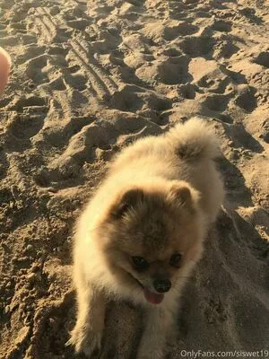 Siswet19 OnlyFans Leaked Free Thumbnail Picture - #z5BRplZWd5