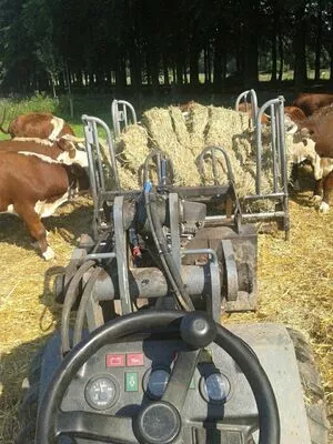 Siswet19 OnlyFans Leaked Free Thumbnail Picture - #zTss480a4I