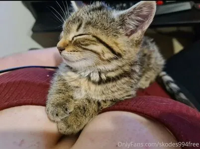 Skodes994free OnlyFans Leaked Free Thumbnail Picture - #FyFhQOpf1v