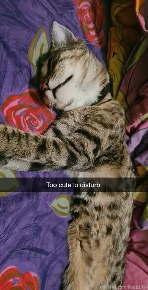 Skodes994free OnlyFans Leaked Free Thumbnail Picture - #xIj8QG17KN