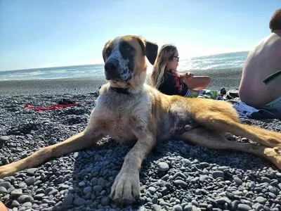 Sky Burrito OnlyFans Leaked Free Thumbnail Picture - #Nj5vI9twUG