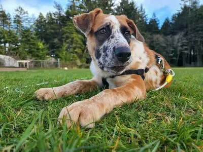 Sky Burrito OnlyFans Leaked Free Thumbnail Picture - #QkPv71v7x5