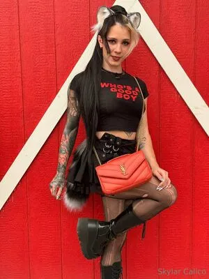 Skylar Calico OnlyFans Leaked Free Thumbnail Picture - #qO4sFFWgAW