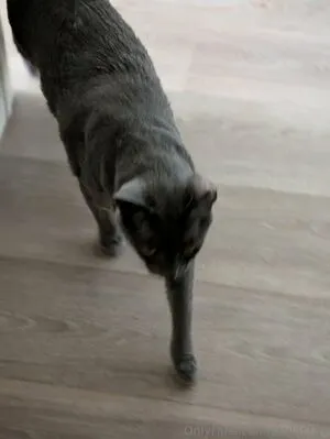 Skylar737 OnlyFans Leaked Free Thumbnail Picture - #L4cYaHa5y1