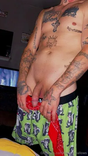 Skylarswallows OnlyFans Leaked Free Thumbnail Picture - #jdOPhArm9J