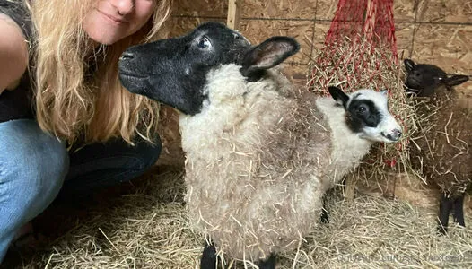 Sl T Nextdoor OnlyFans Leaked Free Thumbnail Picture - #cwNFNxQ1Dn