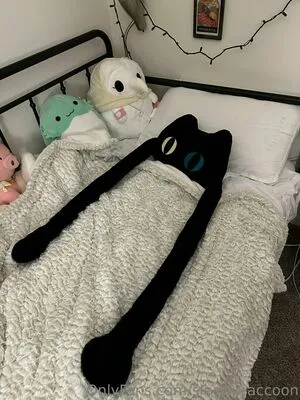 Sleepy Raccoon OnlyFans Leaked Free Thumbnail Picture - #9ezJP89AR5