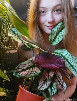sleepyvegan OnlyFans Leaked Free Thumbnail Picture - #1JPj0iTlCW