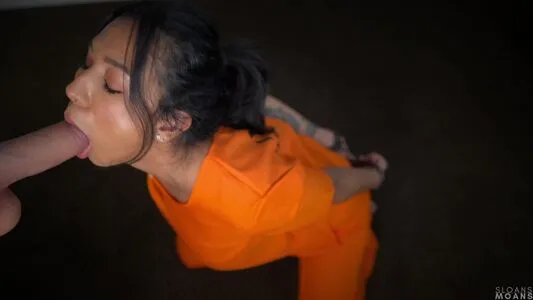 Sloansmoans OnlyFans Leaked Free Thumbnail Picture - #vKSOquG6yo