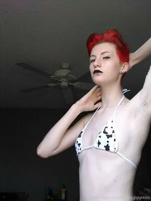 Slutpuppymilo OnlyFans Leaked Free Thumbnail Picture - #5JAwEQtamf