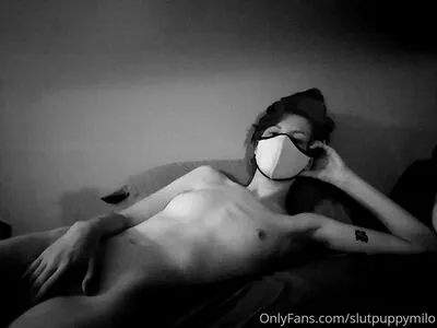 Slutpuppymilo OnlyFans Leaked Free Thumbnail Picture - #lqmt3IpSXe
