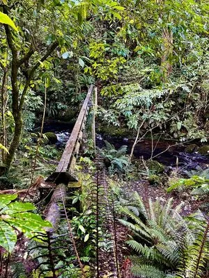 Smilingcici OnlyFans Leaked Free Thumbnail Picture - #YTZVVNY11Y