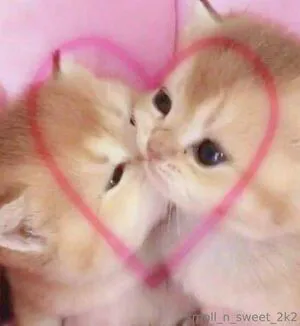 Smoll N Sweet 2k2 OnlyFans Leaked Free Thumbnail Picture - #iS6FJO7C8U