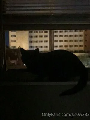 Sn0w333 OnlyFans Leaked Free Thumbnail Picture - #2bZRCtvt4g