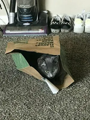 Sn0w333 OnlyFans Leaked Free Thumbnail Picture - #OIjJCUbiOQ