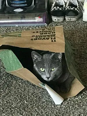 Sn0w333 OnlyFans Leaked Free Thumbnail Picture - #aYy9gZdkz2