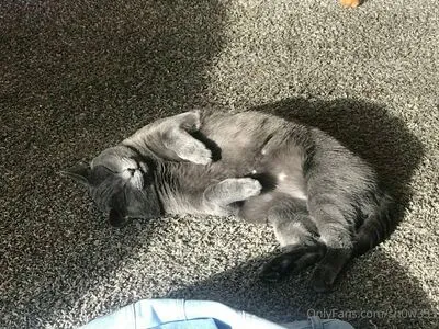 Sn0w333 OnlyFans Leaked Free Thumbnail Picture - #mHUNm27V8Z