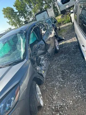 Snaakecharmerr OnlyFans Leaked Free Thumbnail Picture - #h0CQWJOKc7